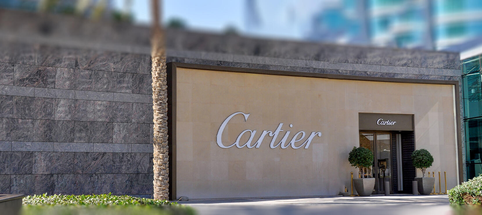 Cartier, Projects